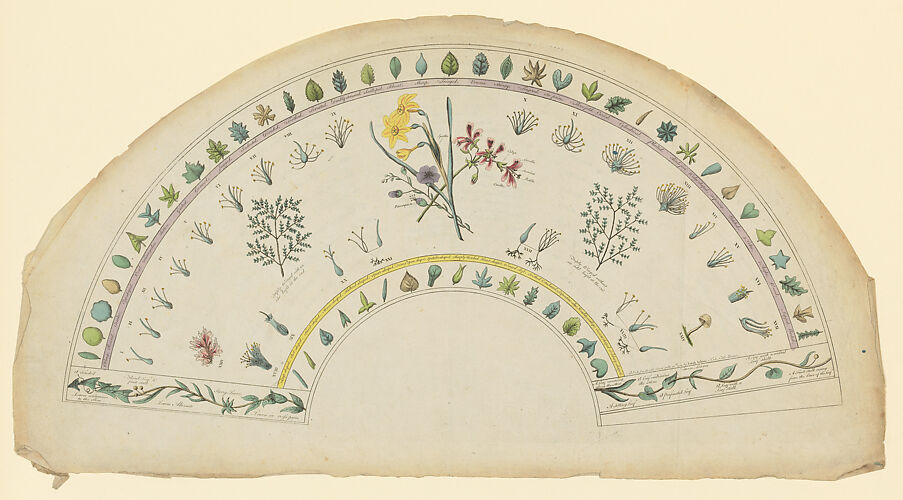 Fan leaf adorned with botanical designs