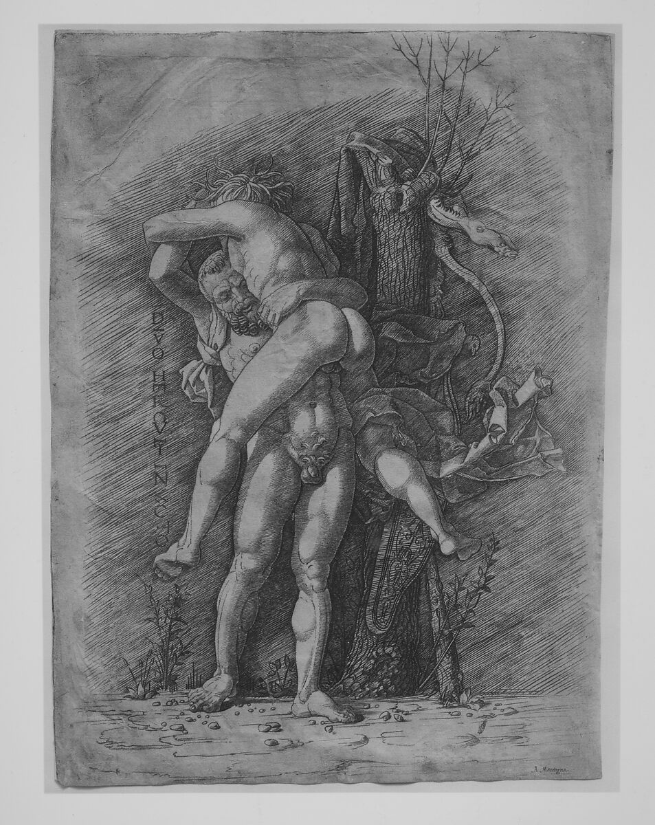 Hercules and Antaeus, Gian Marco Cavalli (Italian, ca. 1454–after 1508, activity documented 1475–1508), Engraving; main figures and parts of tree pricked for transfer