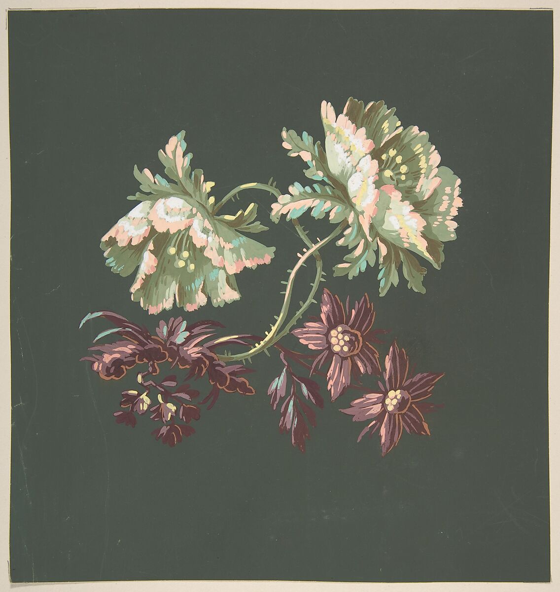 Two Roses and Two Small Flowers, Anonymous, French, 19th century, Gouache on olive green prepared paper 