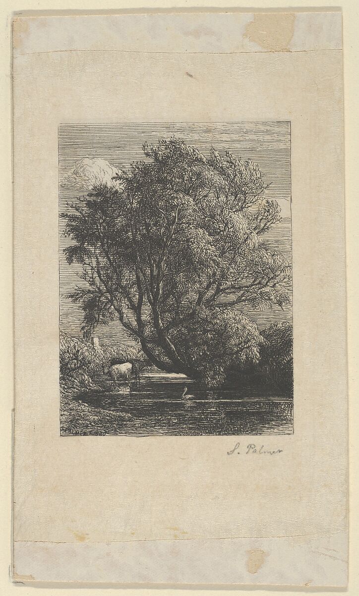 The Willow, Samuel Palmer (British, London 1805–1881 Redhill, Surrey), Etching; second state of three 
