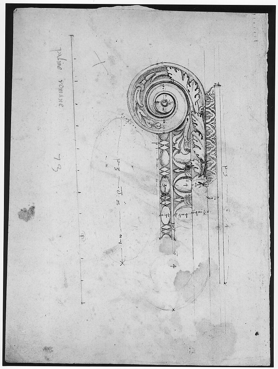 S. Maria in Trastevere, Ionic capital, volute, side elevation (recto) Unidentified, Ionic capital volute, construction diagram (verso), Drawn by Anonymous, French, 16th century, Dark brown ink, black chalk, and incised lines