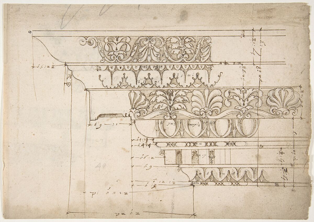 Domus Augustiana, cornice, elevation in profile, ornamental detailing (recto) Unidentified, cornice, elevation in profile, ornamental detailing (verso), Drawn by Anonymous, French, 16th century, Dark brown ink, black chalk, and incised lines 