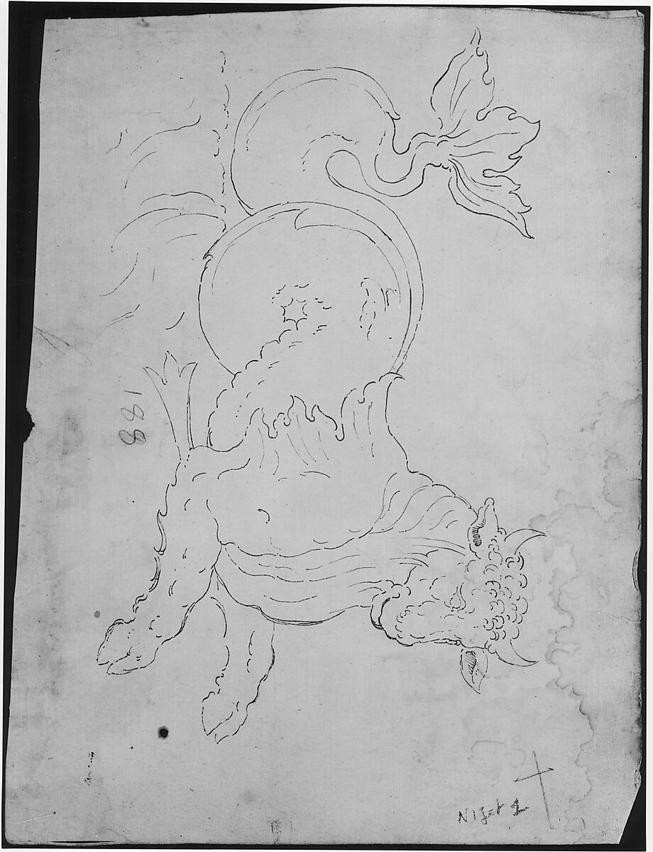 Marine bull, detail (recto) blank (verso), Drawn by Anonymous, French, 16th century, Dark brown ink, black chalk, and incised lines