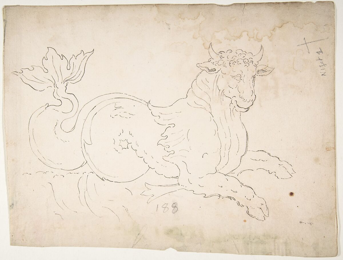 Marine bull, detail (recto) blank (verso), Drawn by Anonymous, French, 16th century, Dark brown ink, black chalk, and incised lines 