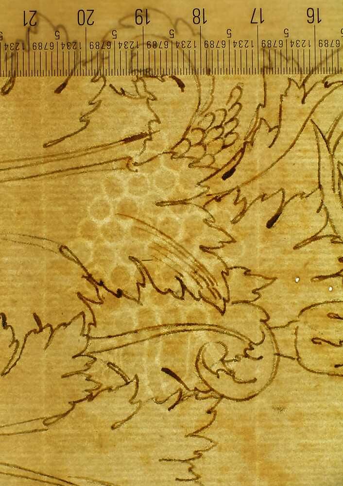 Ornamental drawings (recto) blank (verso), Drawn by Anonymous, French, 16th century, Dark brown ink, black chalk, and incised lines