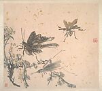Insects and Flowers, Huang Binhong (Chinese, 1865–1955), Album of ten leaves; ink and color on gold-flecked paper, China