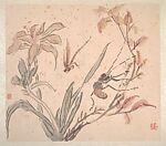 Insects and Flowers, Huang Binhong (Chinese, 1865–1955), Album of ten leaves; ink and color on gold-flecked paper, China