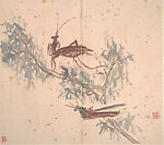 Insects and Flowers, Huang Binhong (Chinese, 1865–1955), Album of ten leaves; ink and color on gold-flecked paper, China