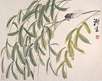 Insects and Plants, Qi Baishi (Chinese, 1864–1957), Album of twelve leaves; ink on paper, China