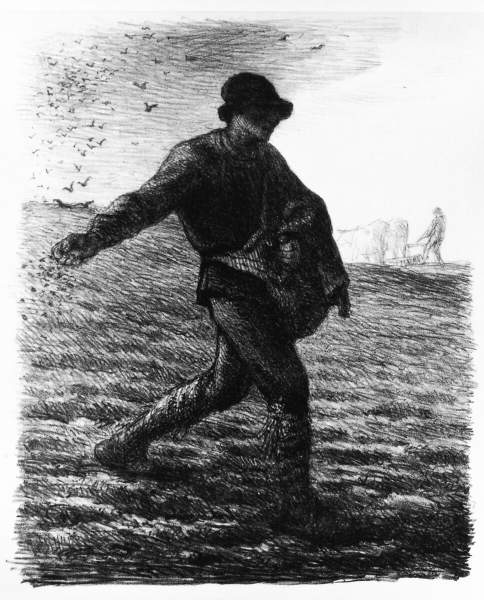 The Sower, Jean-François Millet (French, Gruchy 1814–1875 Barbizon), Lithograph; second (final) state; 1879 or later; posthumous impression