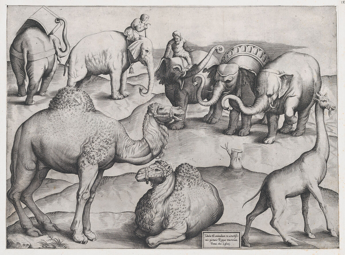 Wild Animals, from antique wall paintings, plate 3, from "Speculum Romanae Magnificentiae", Anonymous, Italian, mid-16th century, Engraving 