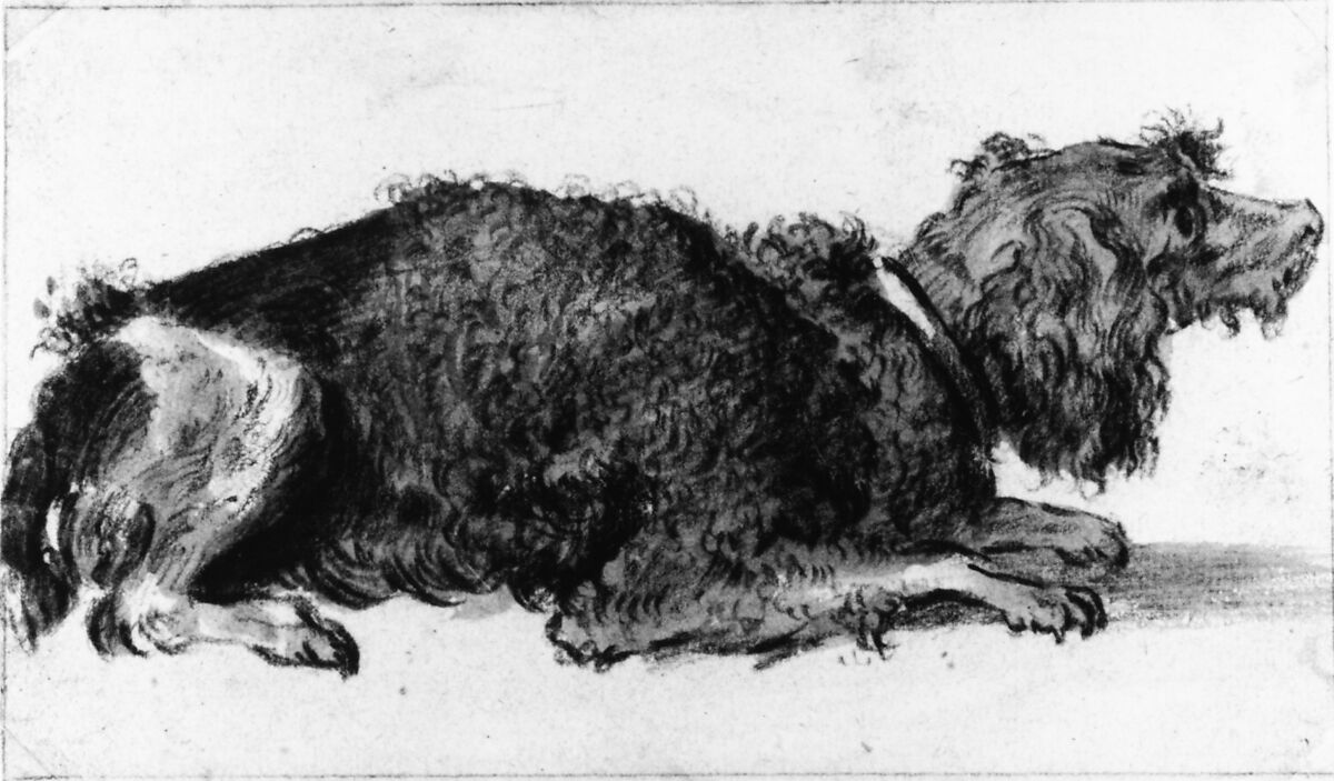 A Dog, Cornelis Saftleven (Dutch, Gorinchem 1607–1681 Rotterdam), Black chalk and gray wash
