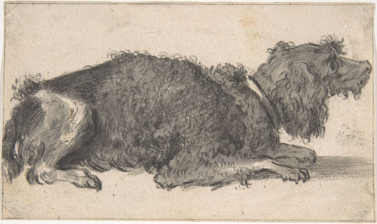 A Dog, Cornelis Saftleven (Dutch, Gorinchem 1607–1681 Rotterdam), Black chalk and gray wash 