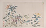 Flowers, Birds, Vegetables and Insects, Wang Xuetao (Chinese, 1903–1982), Album of twelve leaves; ink and color on paper, China