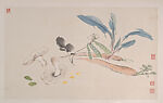 Flowers, Birds, Vegetables and Insects, Wang Xuetao (Chinese, 1903–1982), Album of twelve leaves; ink and color on paper, China