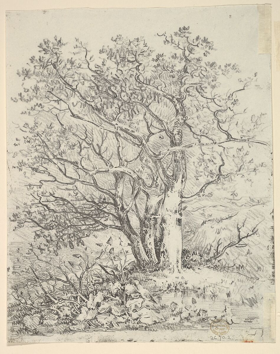 Study for Three Trees, John Crome (British, Norwich 1768–1821 Norwich), Graphite, soft ground etching on the verso