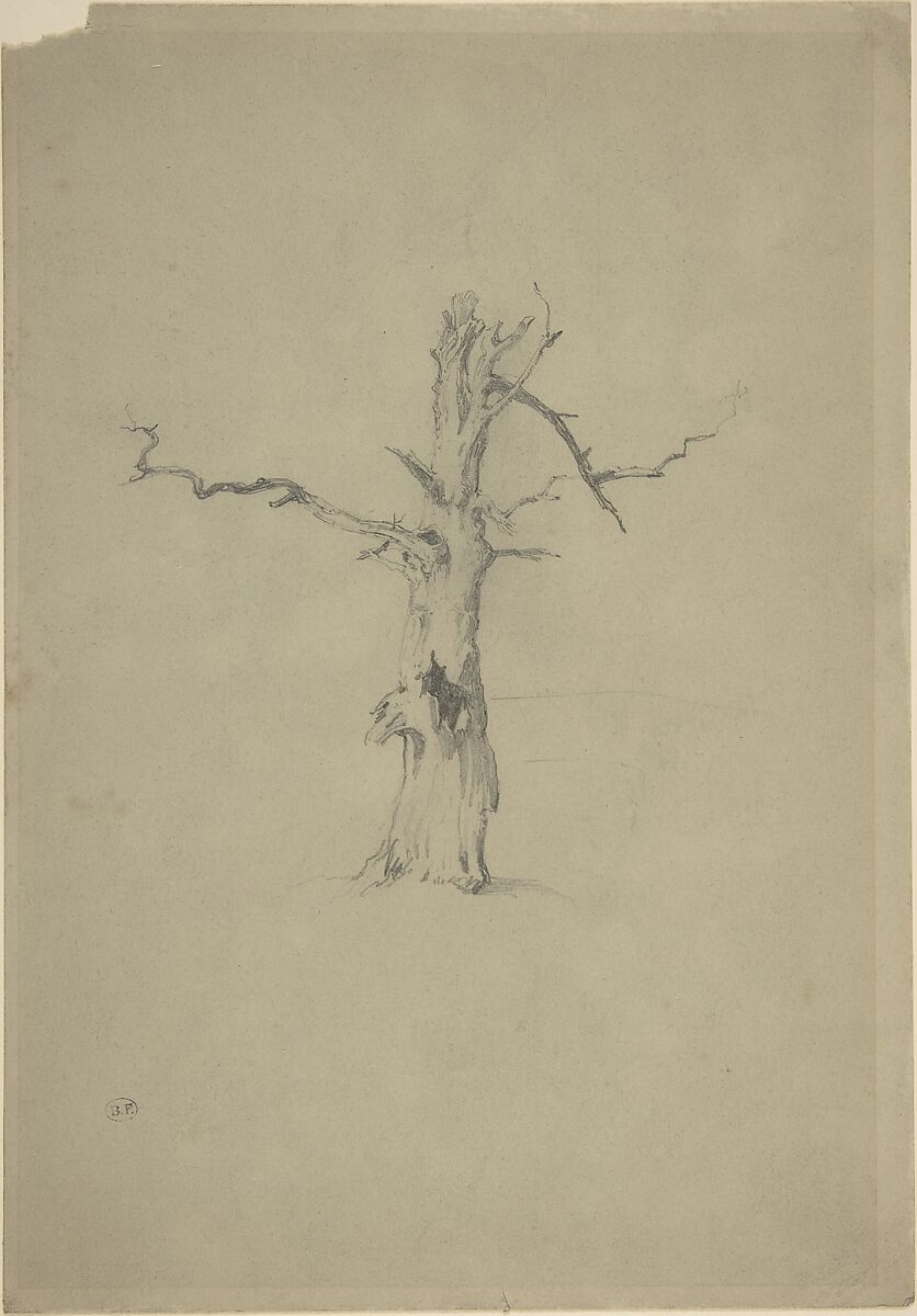 Study of a Dead Tree, Myles Birket Foster (British, North Shields, Northumberland 1825–1899 Weybridge, Surrey), Graphite 