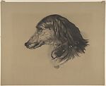 Head of a Deerhound, after Landseer