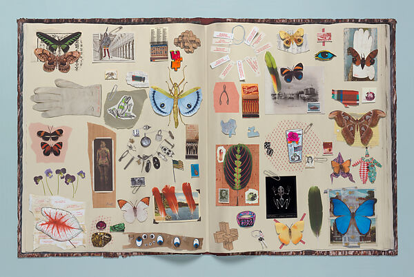 Jane Hammond, Scrapbook