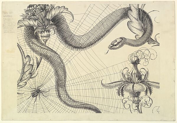 Spider, Web, Snake and Flowers (for "The Duchess of Malfi and The White Devil"), Henry Weston Keen (British, 1899–1935 Walberswick, Suffolk), Pen and black ink 