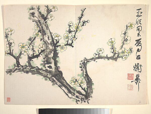 Plum Blossom