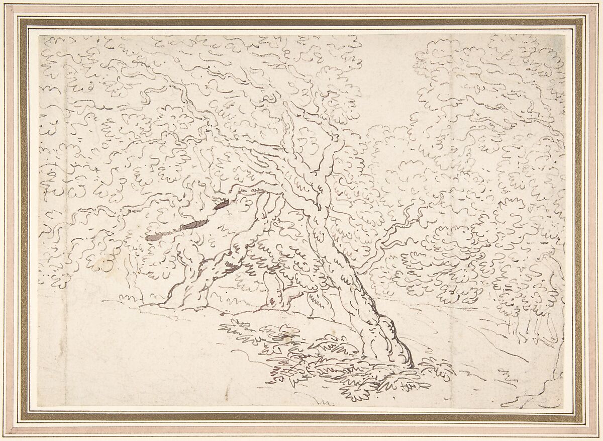 Study of trees, Thomas Rowlandson (British, London 1757–1827 London), Pen and brown ink 
