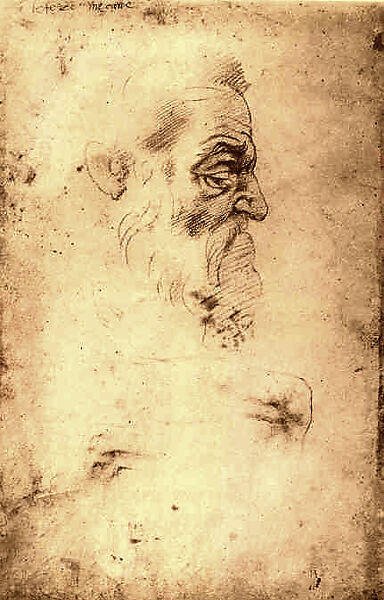Studies of the Head of a Prophet in Profile, "Zechariah," and Legs (recto); Studies of Knees (verso), Michelangelo Buonarroti (Italian, Caprese 1475–1564 Rome), Black chalk and lead point (Study of legs) (recto); black chalk or lead point (verso) 