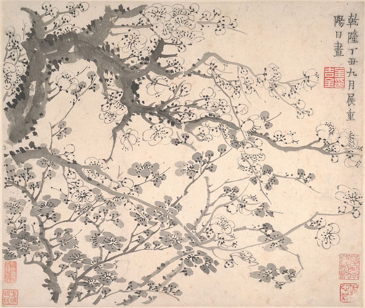 Plum blossoms, Jin Nong  Chinese, Album of twelve leaves; ink on paper, China