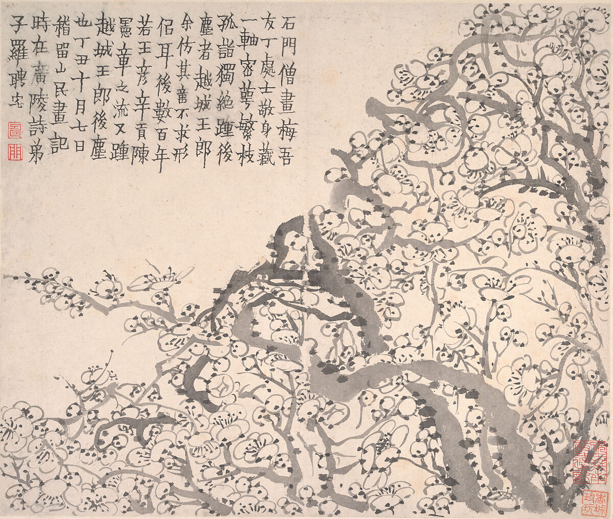 Plum blossoms, Jin Nong (Chinese, 1687–1773), Album of twelve leaves; ink on paper, China