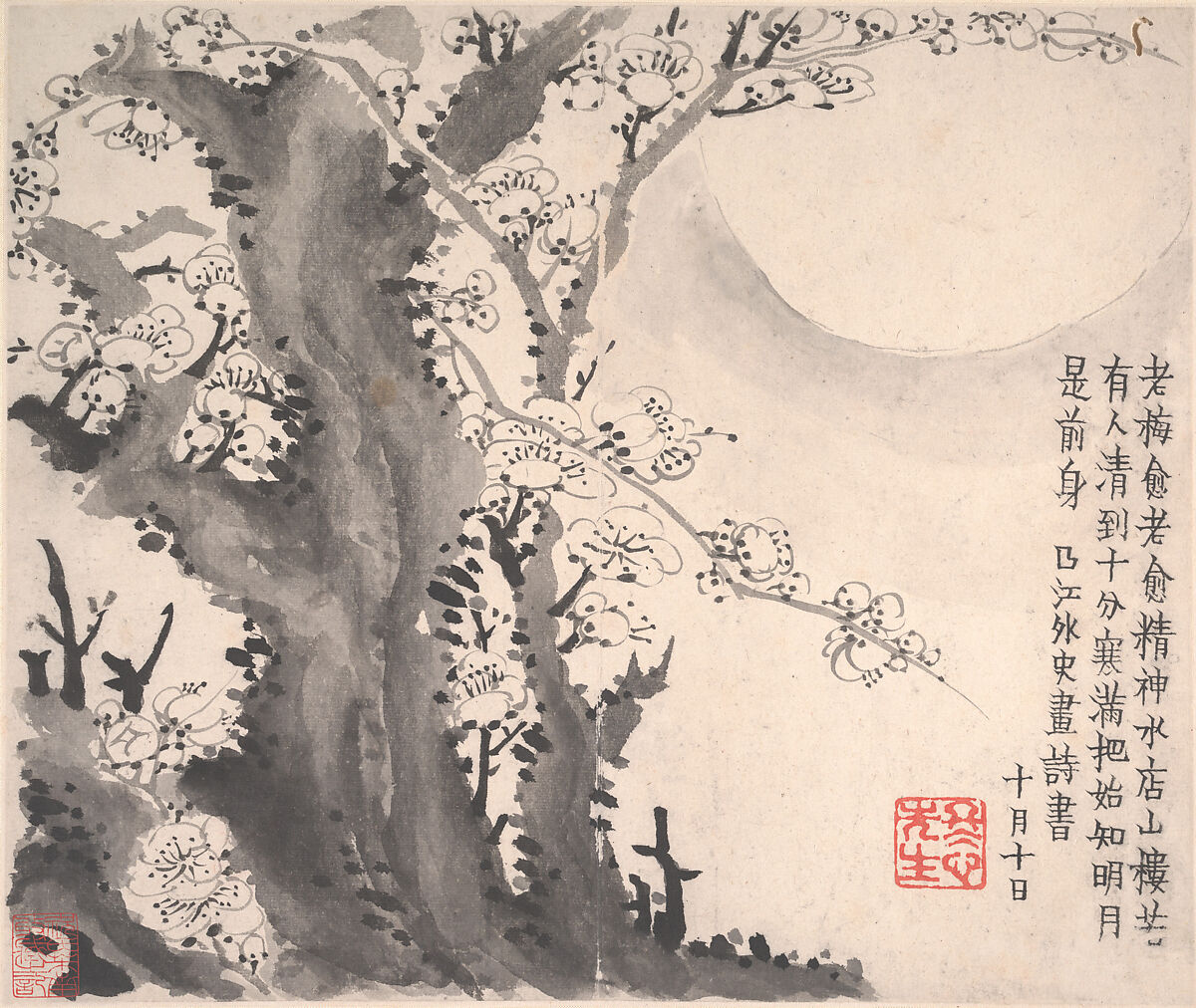 Plum blossoms, Jin Nong (Chinese, 1687–1773), Album of twelve leaves; ink on paper, China