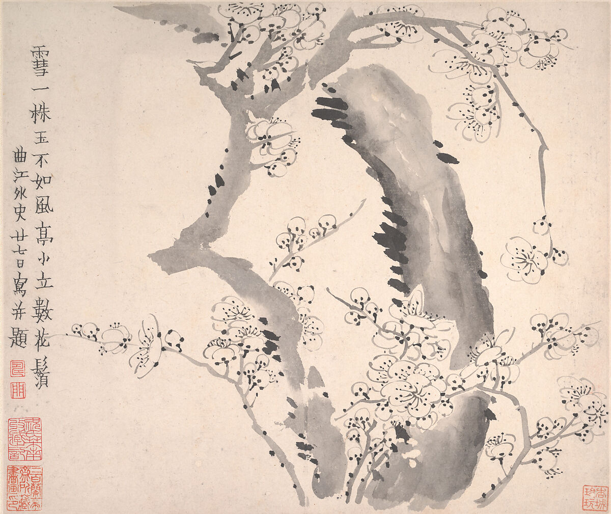Plum blossoms, Jin Nong (Chinese, 1687–1773), Album of twelve leaves; ink on paper, China