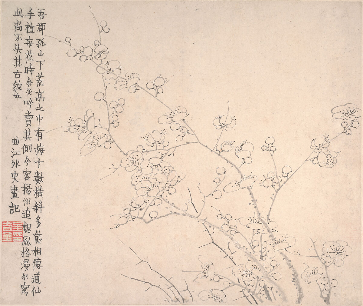 Plum blossoms, Jin Nong (Chinese, 1687–1773), Album of twelve leaves; ink on paper, China