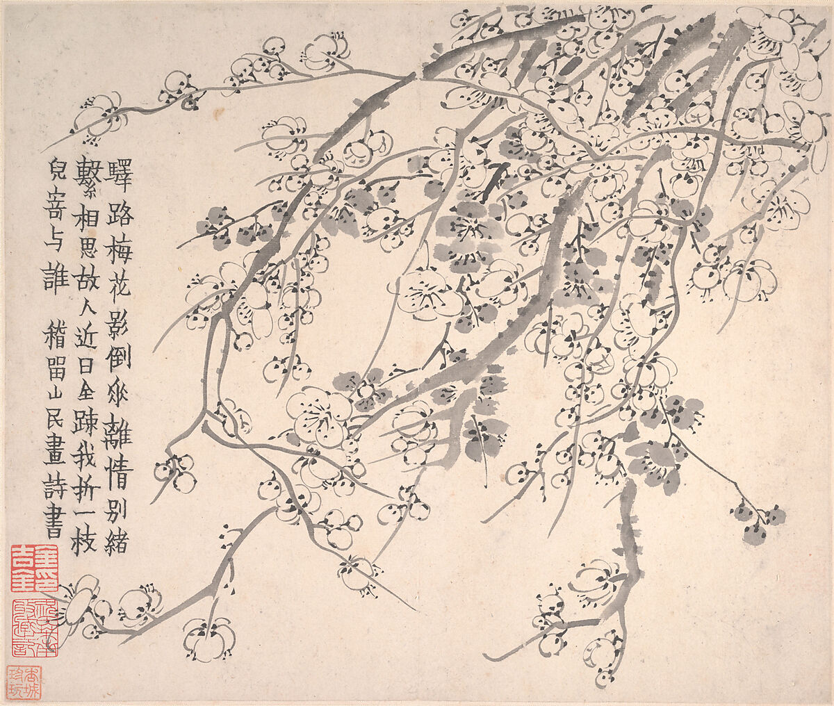 Plum blossoms, Jin Nong (Chinese, 1687–1773), Album of twelve leaves; ink on paper, China