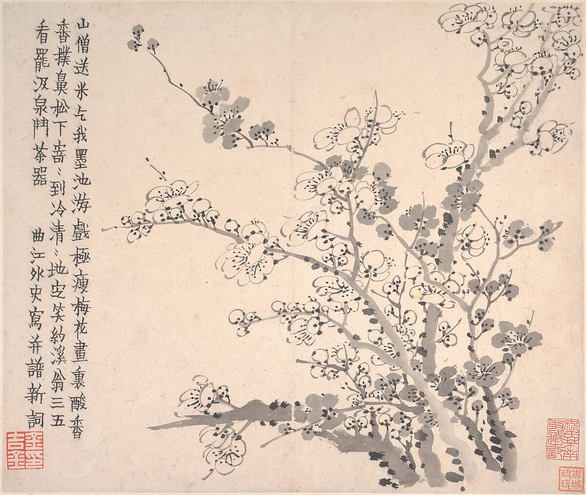 Plum blossoms, Jin Nong (Chinese, 1687–1773), Album of twelve leaves; ink on paper, China