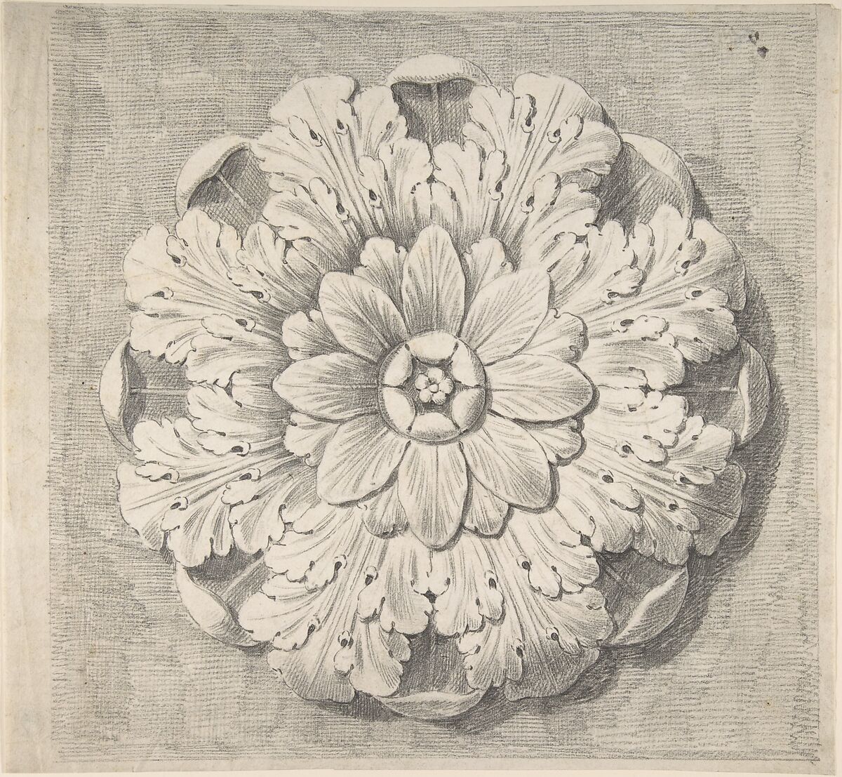 Study of a Classical Rosette, Attributed to Thomas Hardwick (British, London 1752–1829 London) 