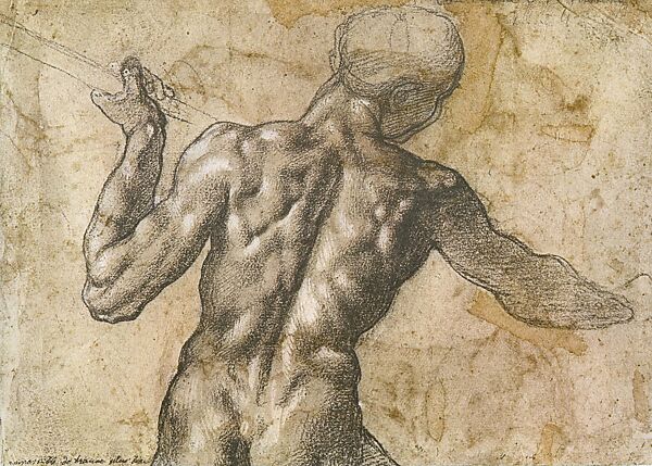 Studies for the Battle of Cascina: Two Standing Nude Male Figures (recto); Nude Male Figure in Half-Length Seen from the Rear (verso), Michelangelo Buonarroti (Italian, Caprese 1475–1564 Rome), Pen and brown ink (recto); black chalk, highlighted with white chalk (verso) 