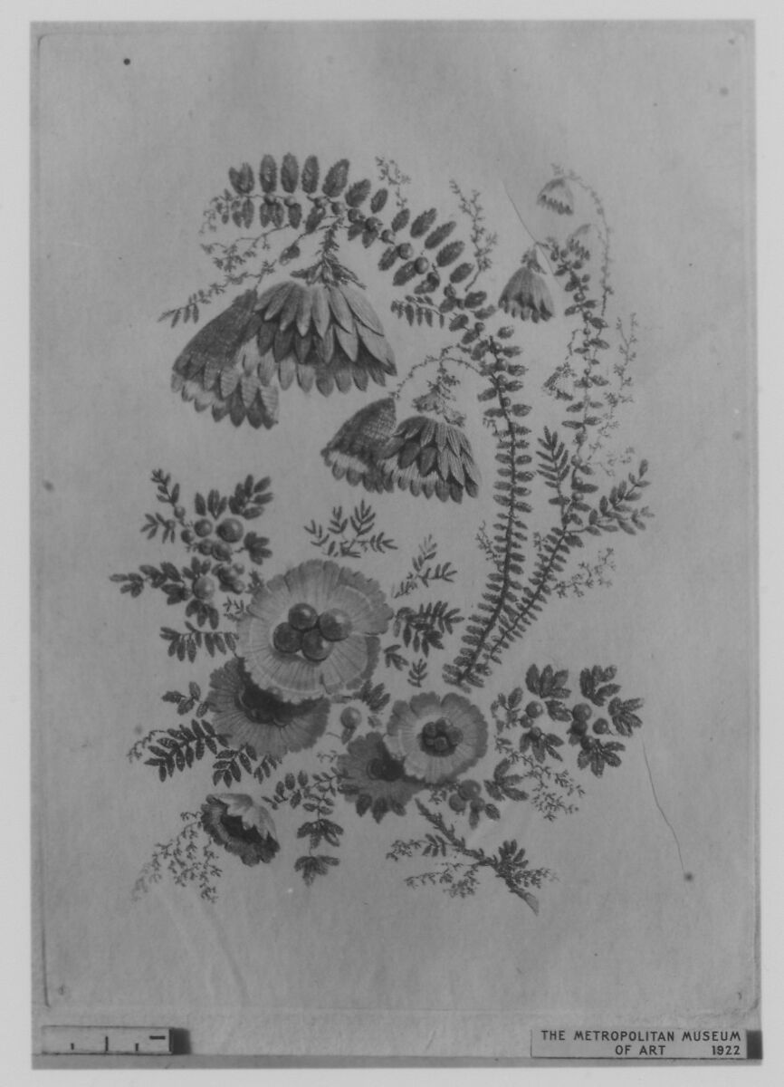 Flowers, from "Nouvelle Suite de Fleurs idéales a l'usage des dessinateurs et des peintres" (Nr 3), Jean Pillement (French, Lyons 1728–1808 Lyons), Etching, inked à la poupée 