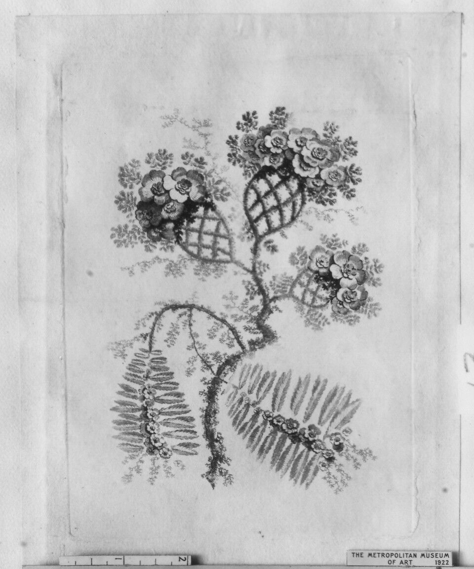 Flowers, from "Nouvelle Suite de Cahiers de Fleurs idéales a l'usage des dessinateurs et des peintres", Jean Pillement (French, Lyons 1728–1808 Lyons), Etching, inked à la poupée 