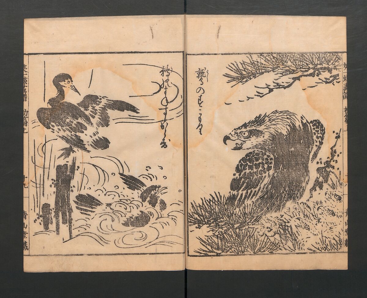 Itchō Picture Album (Itchō gafu)  一蝶画譜, Hanabusa Itchō 英一蝶 (Japanese, 1652–1724), Set of three woodblock printed books; ink on paper, Japan
