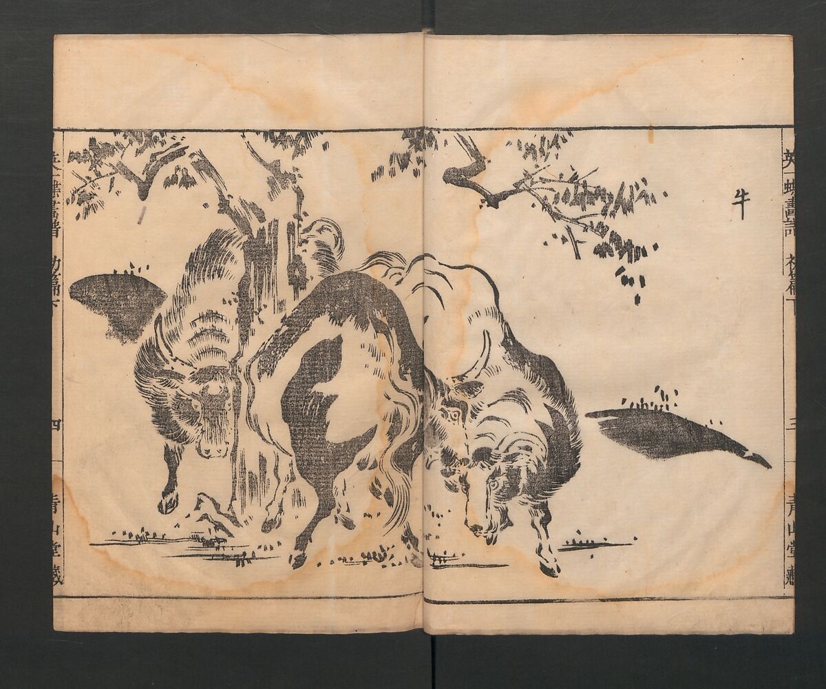 Itchō Picture Album (Itchō gafu)  一蝶画譜, Hanabusa Itchō 英一蝶 (Japanese, 1652–1724), Set of three woodblock printed books; ink on paper, Japan