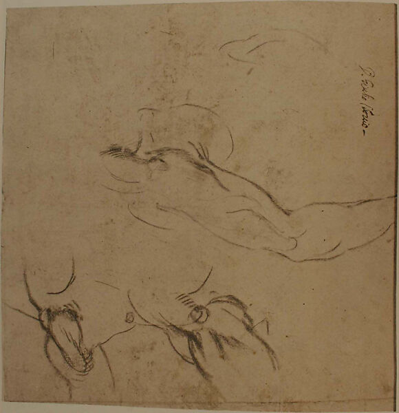 The Resurrection (recto); Sketches of arms (verso), Michelangelo Buonarroti (Italian, Caprese 1475–1564 Rome), Black chalk over stylus underdrawing, with offset red chalk (recto); black chalk (verso) 