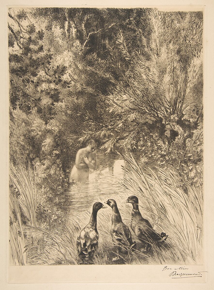 Canards surpris, Félix Bracquemond (French, Paris 1833–1914 Sèvres), Etching, with some burin 