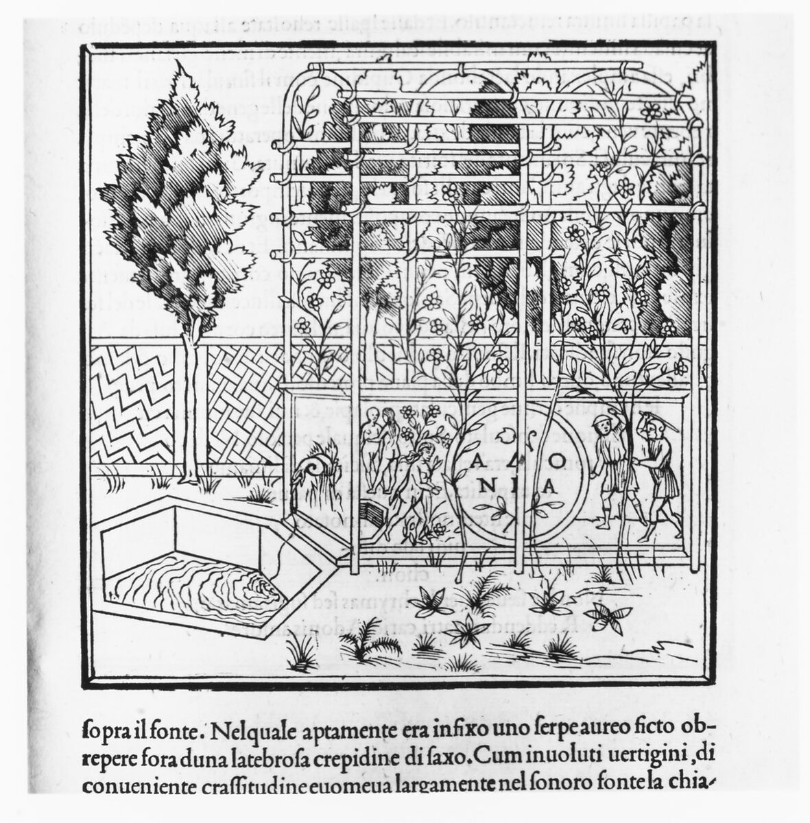 Hypnerotomachia Poliphili, Francesco Colonna (Italian, ca. 1453–1517), Printed book with woodcut illustrations