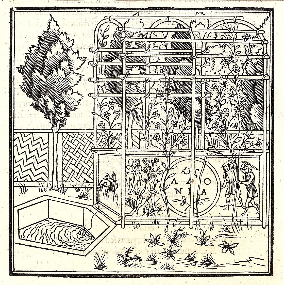 Hypnerotomachia Poliphili, Francesco Colonna (Italian, ca. 1453–1517), Printed book with woodcut illustrations