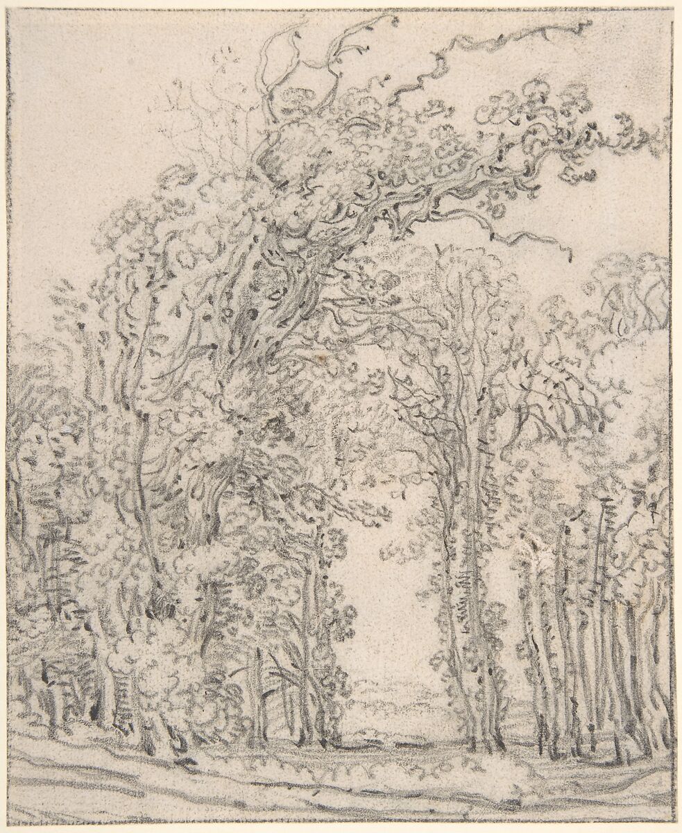 Study of Trees, François Ryckhals (Dutch, Middelburg after 1600–1647 Middelburg), Black chalk; framing lines in black chalk 