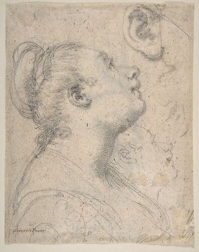 The Head and Shoulders of a Woman in Profile; Separate Studies of Her Head and Ear (recto); Fragment of Drapery Study, Profile of Architectural Molding (verso).