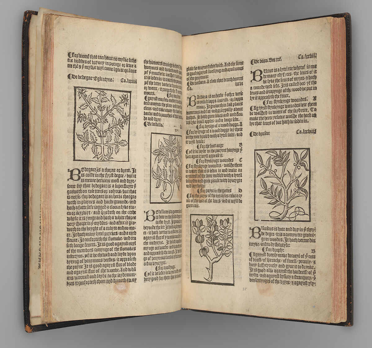 The Grete Herball, Peter Treveris (British, active 1525–32), Illustrations: woodcut