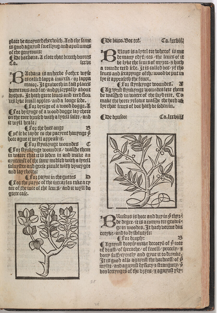 The Grete Herball, Peter Treveris (British, active 1525–32), Illustrations: woodcut