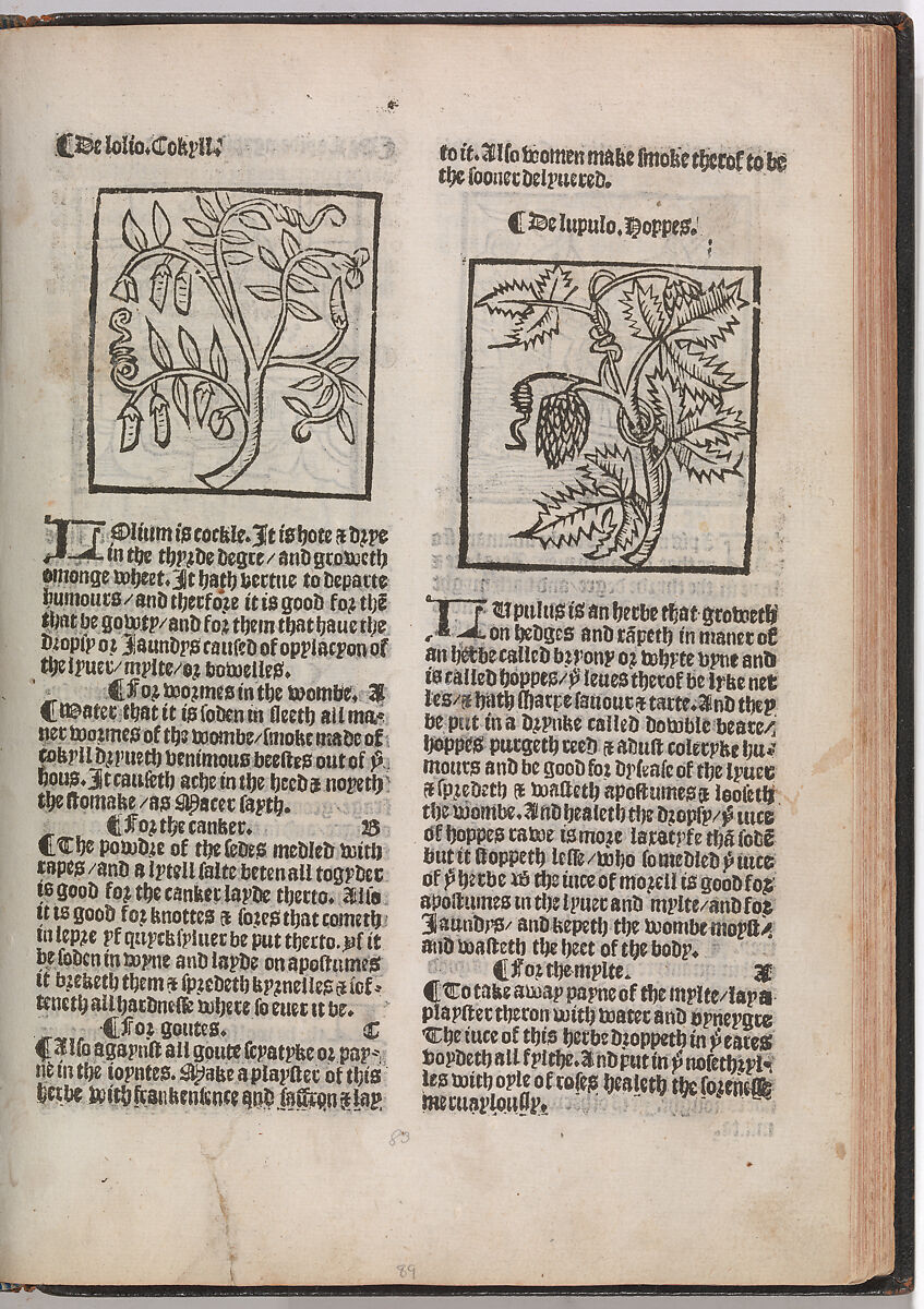 The Grete Herball, Peter Treveris (British, active 1525–32), Illustrations: woodcut