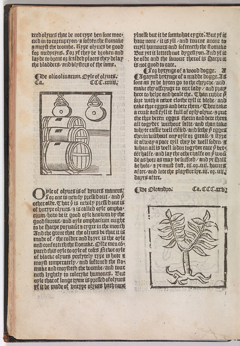 The Grete Herball, Peter Treveris (British, active 1525–32), Illustrations: woodcut